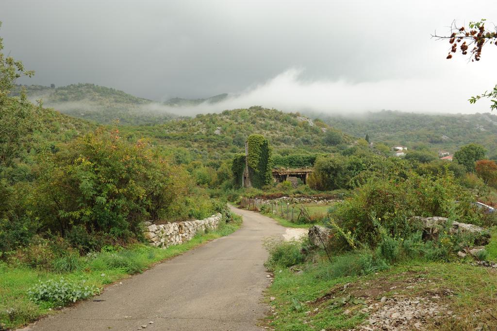 Holiday Home Skadar Lake Arbnes Ruang foto